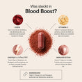 Bild in Galerie-Betrachter laden, Blood Boost - Eisen Plus | MedandSkin