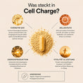 Bild in Galerie-Betrachter laden, Cell Charge - Coenzym Q10 | MedandSkin